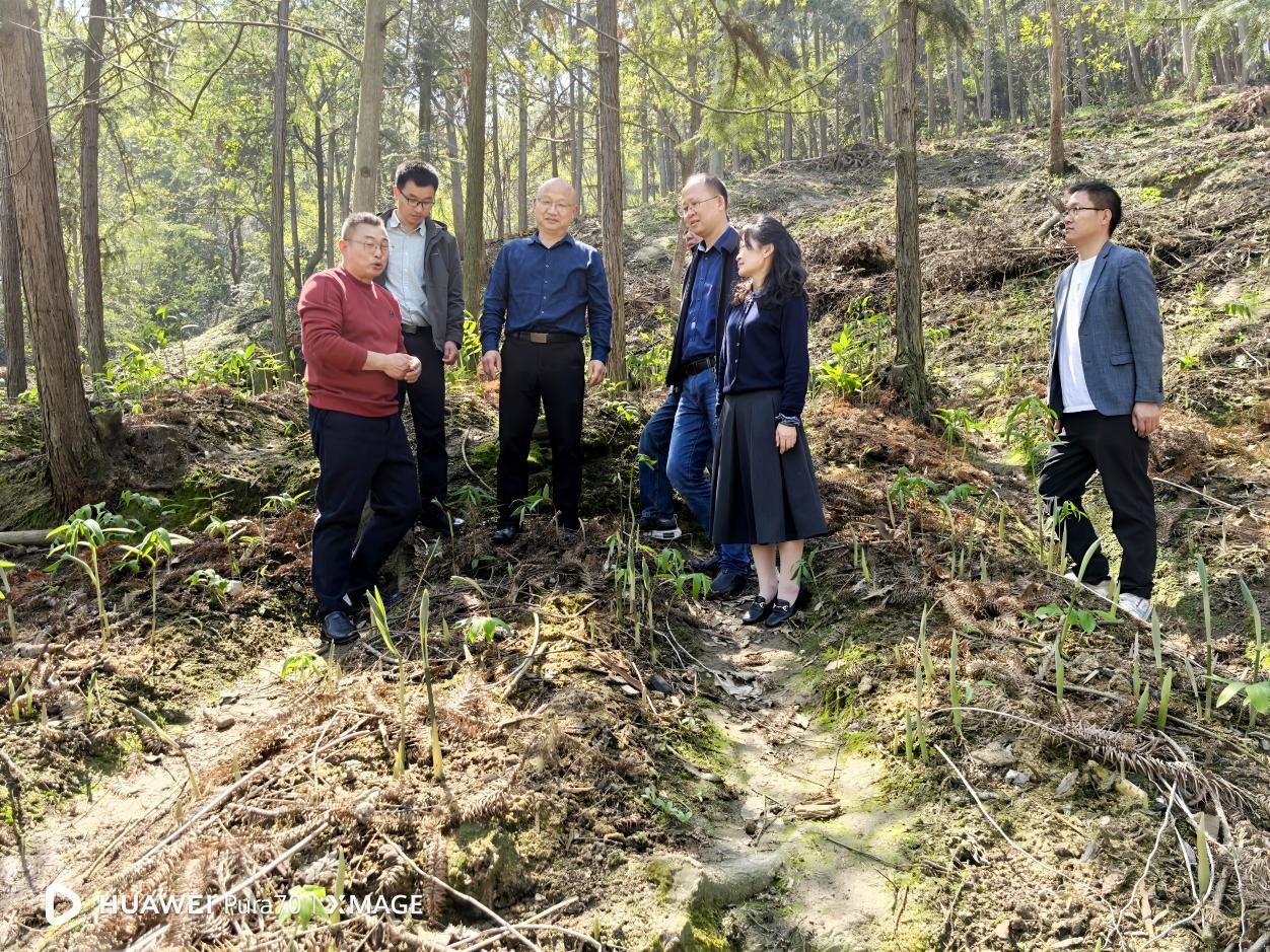 103634.jpg 103634.jpg