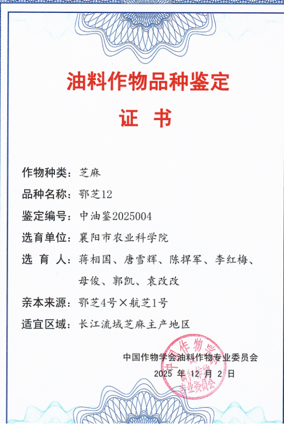 094223.png image.png